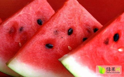 娱乐吃瓜菌的视频怎么拍,视频拍摄幕后技巧大公开